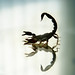 Michael Langdon Photo 36