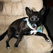 Lois Weeks Photo 8