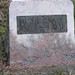 Dorothy Sapp Photo 7