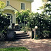 Laura Clemons Photo 35