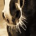 Joanne Meek Photo 17
