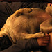 Betty Day Photo 30