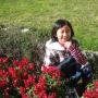 Ying Lu Photo 3