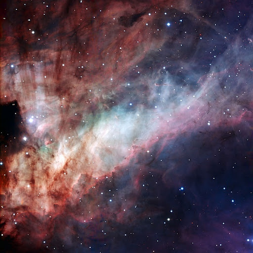 Sam Xu Photo 10