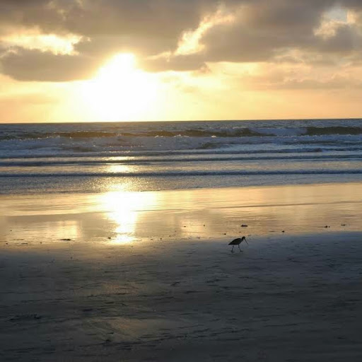 Lisa Blackburn Photo 45