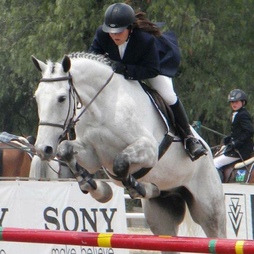 Andrea Walls Photo 26
