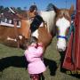 Suzanne Olson Photo 10