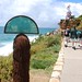 Mike Macgregor Photo 10