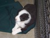 Bruce Kelly Photo 18