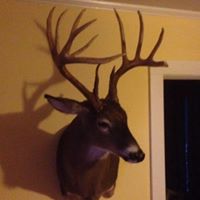 Tyler Gardner Photo 22