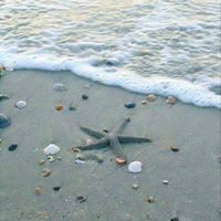 Cindy Berry Photo 7