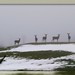 Misty Everhart Photo 6