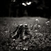 Clarice Simons Photo 6
