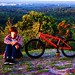Adam Thacker Photo 16