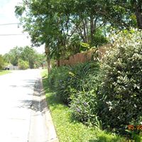 Teri Freeman Photo 16