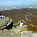 Paul Craig Photo 37