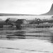 Charles Cavanaugh Photo 23