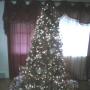 Mark Silvers Photo 29