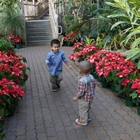 Hong Ngo Photo 20