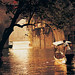Nanping Wu Photo 4