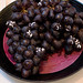 Jill Lemke Photo 12