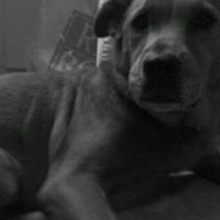 Brittany Crabtree Photo 3