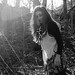 Sonya Ray Photo 14