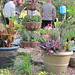 Debbie Barron Photo 16