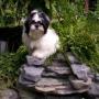 Mary Toney Photo 24