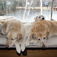 Linda Blais Photo 25
