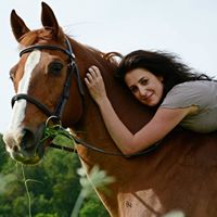 Tamara Meyer Photo 29
