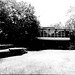 Ethel Harris Photo 17