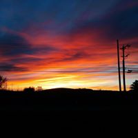 Diane Minnich Photo 8