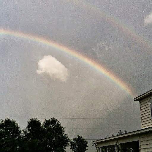Brenda Stephens Photo 24