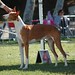 Stephanie Bonner Photo 22