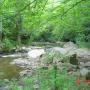 Rhonda Richardson Photo 9
