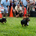 Jacob Wiener Photo 8