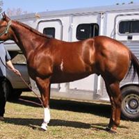 Debbie Thacker Photo 16