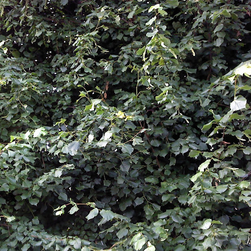 Marie Higgins Photo 27