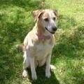 Jeffrey Munn Photo 14