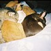 Phyllis Blue Photo 13