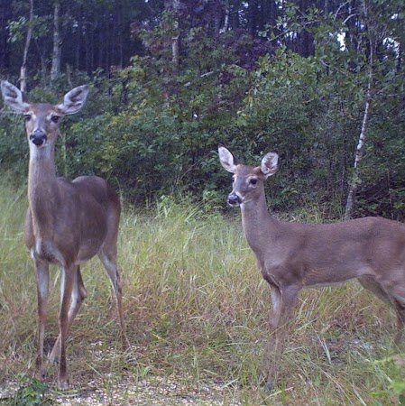 Daniel Houck Photo 29