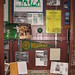 Mary Halls Photo 8