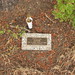 Pamela Eaton Photo 22
