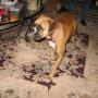 Teresa Albright Photo 22