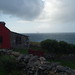 Michael Tarbert Photo 12
