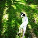 Sammy Short Photo 21