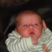 Jacob Willis Photo 12