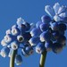 Nell Bloom Photo 5