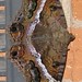 Carl Hogue Photo 6